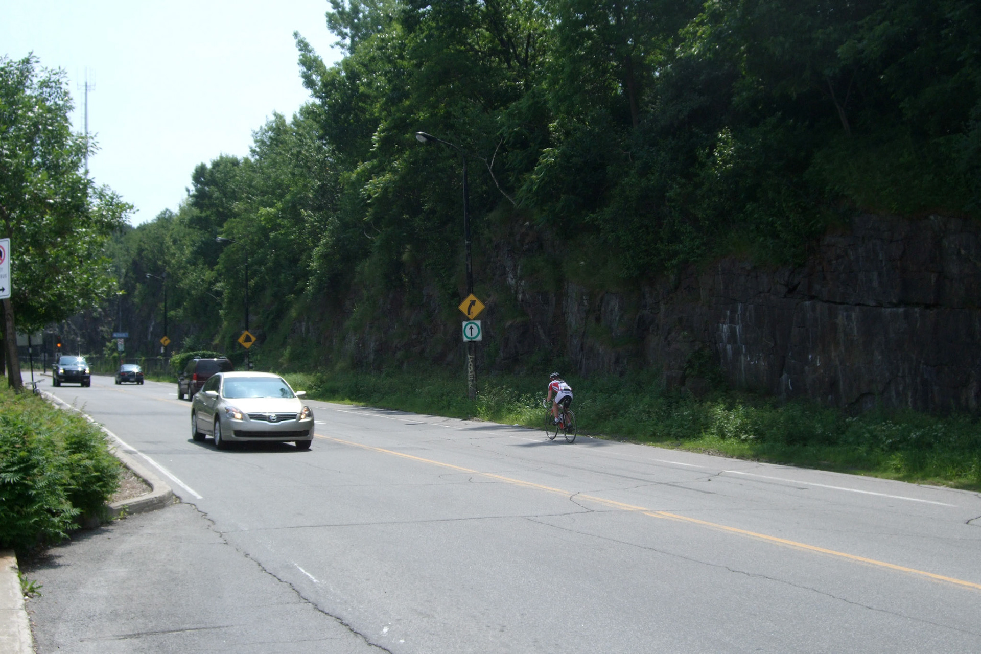 I didn't have quite as much energy as the ambitious cyclists trekking up Mount Royal