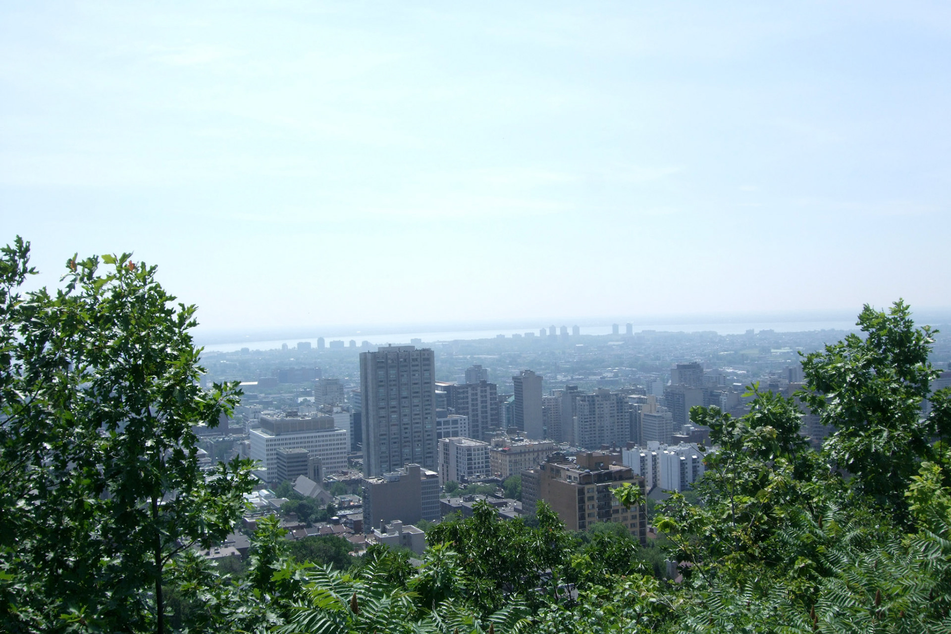 Downtown Montreal from Mount Royal
