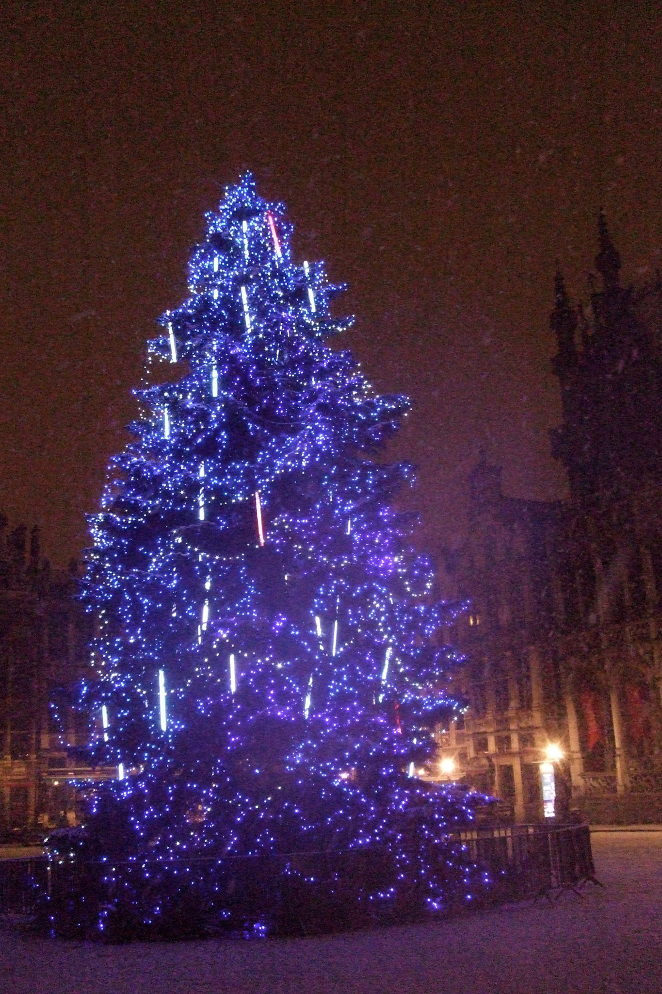 Snow falling on the Christmas tree in Grand Place
