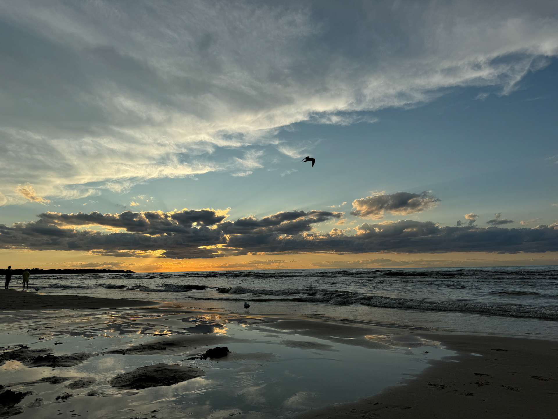 Ipperwash Beach with Dane
