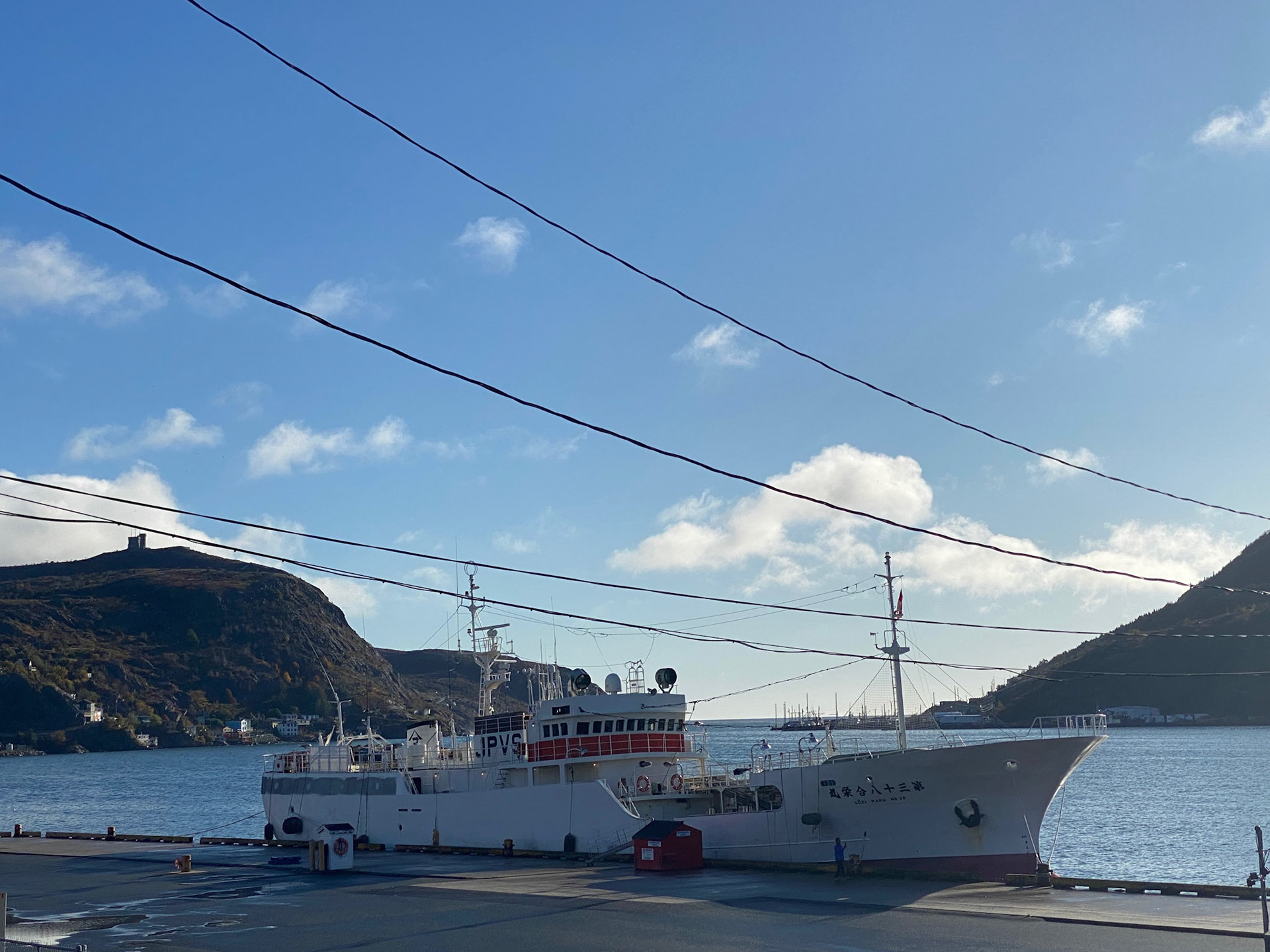 A beautiful morning on our day of departure - looking out at St. John's harbour towards Signal Hill