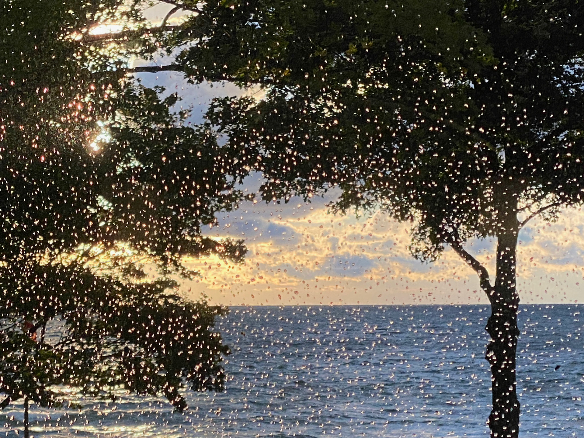 Cottage paradise - vacation September 2021