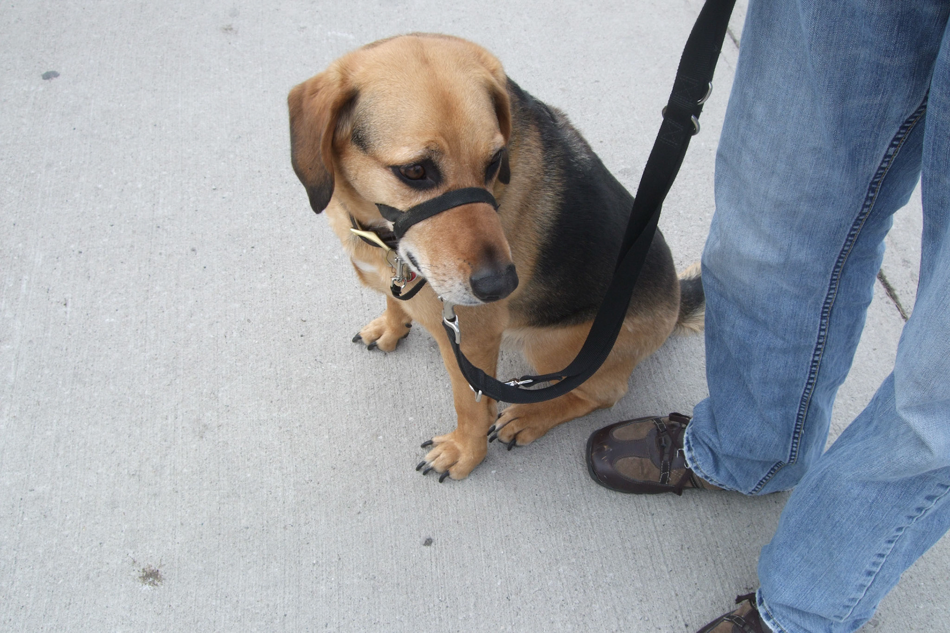 We even had a photo-enthusiat dog Mosley join us. He had trouble holding the camera, though...
