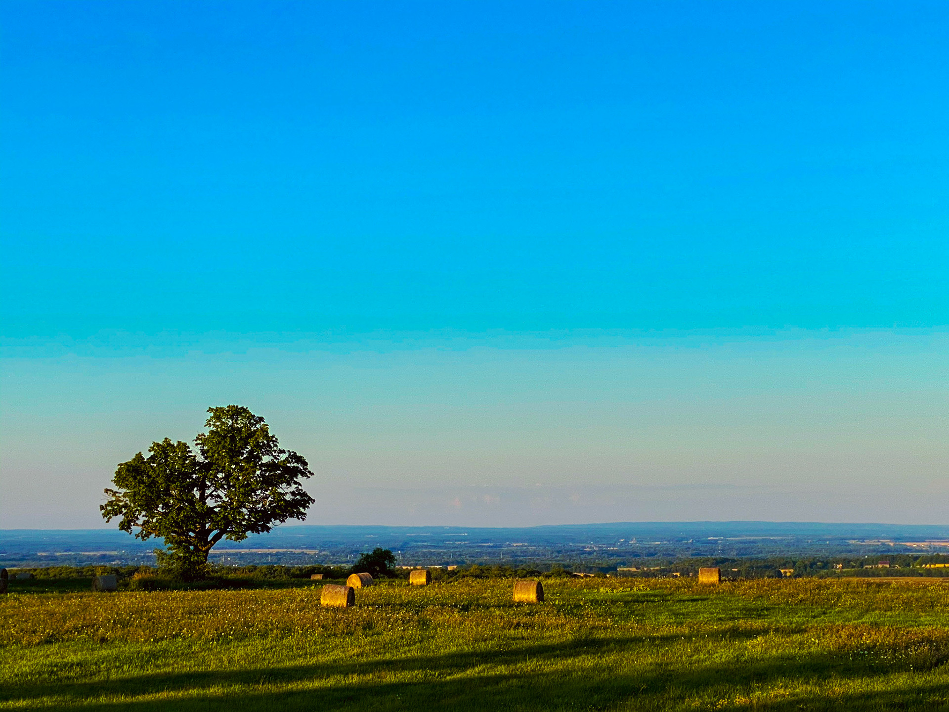 I'd drive forever for views like this. Devil's Glen overlooking towards Nottawasauga Bay near Collingwood