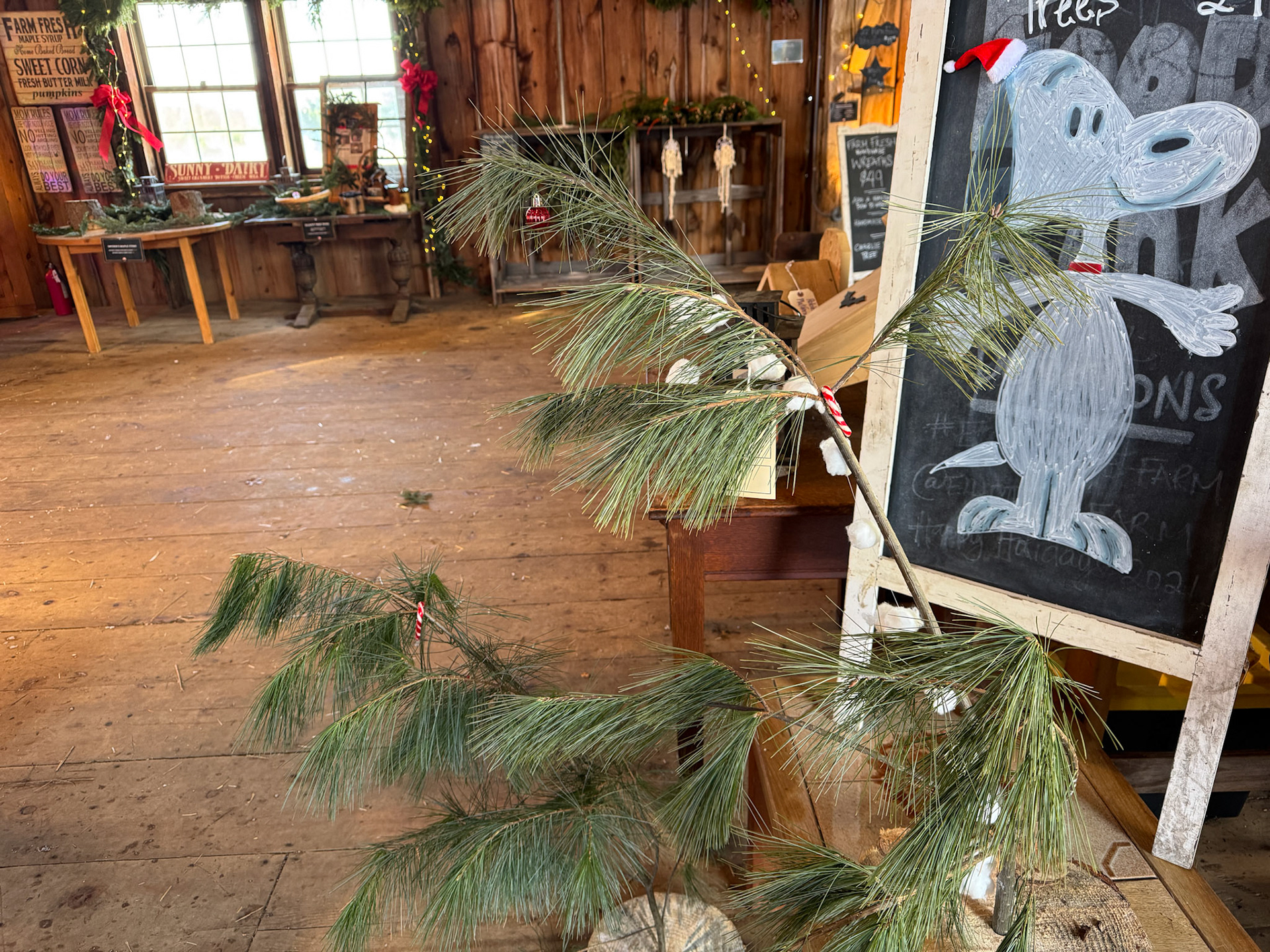 Charlie Brown Christmas Tree