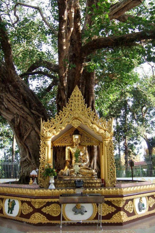 Thailand the Good, and Myanmar