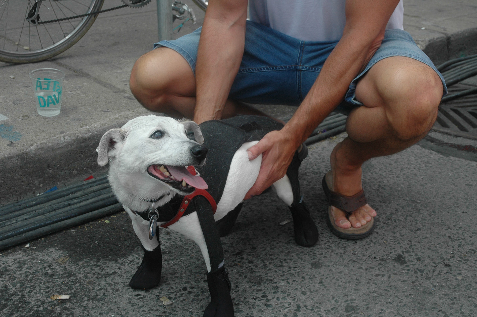 Pride Toronto 2016 - Out &amp; About On Church Street