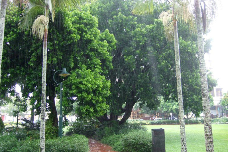 Australia and a few Misc. photos