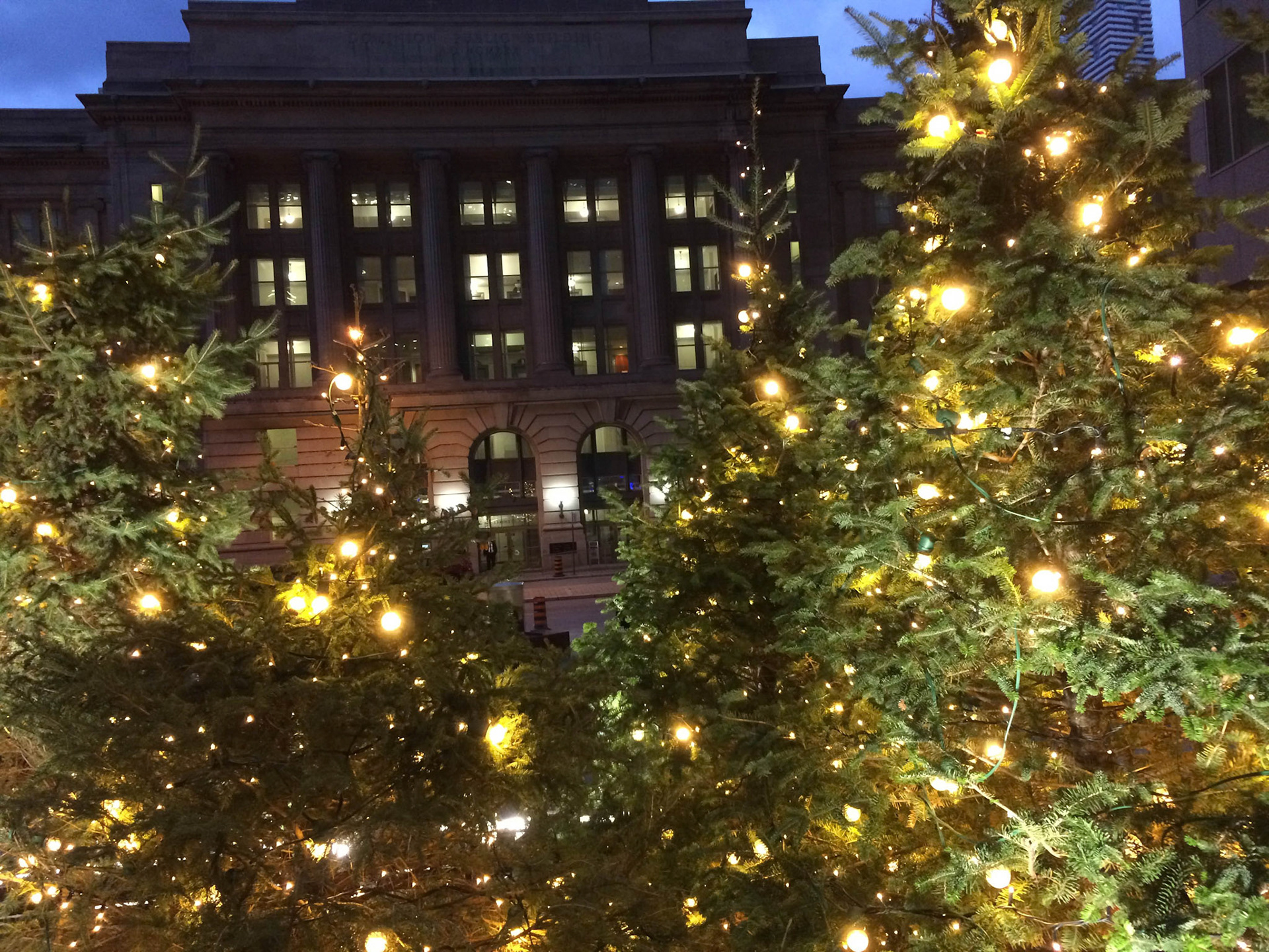 A nice display of real tress outside Brookfield Place, with the Dominion Public Building behind