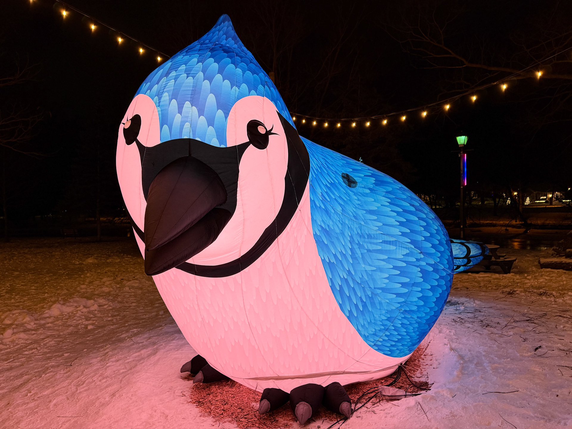 The Birds of a Feather installation at Tom Patterson Island