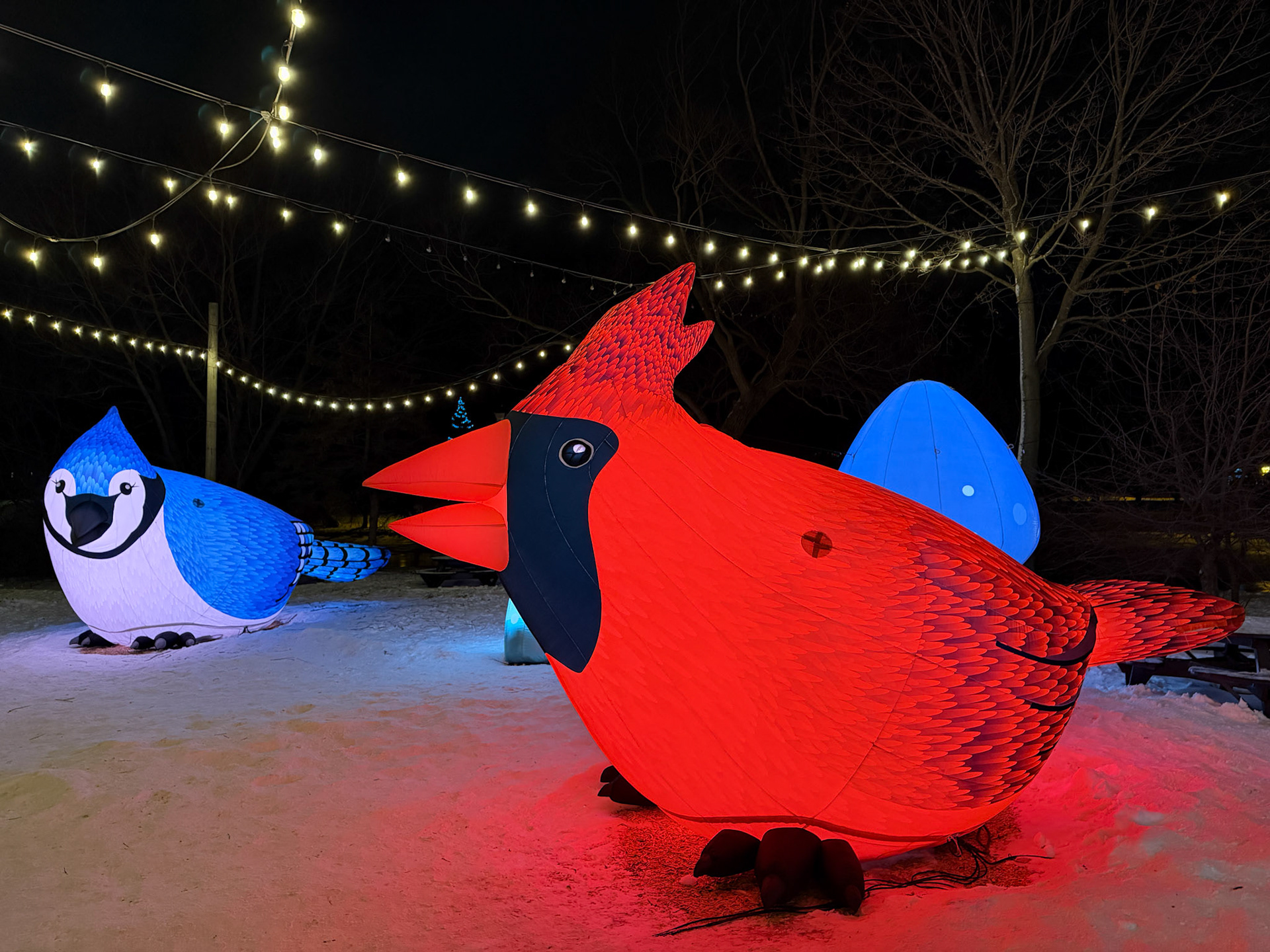 The Birds of a Feather installation at Tom Patterson Island