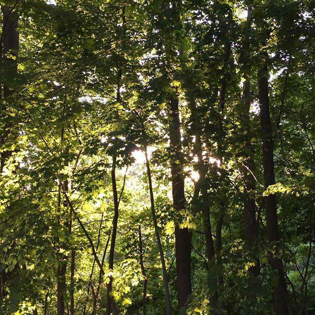 Behold... nature!!!