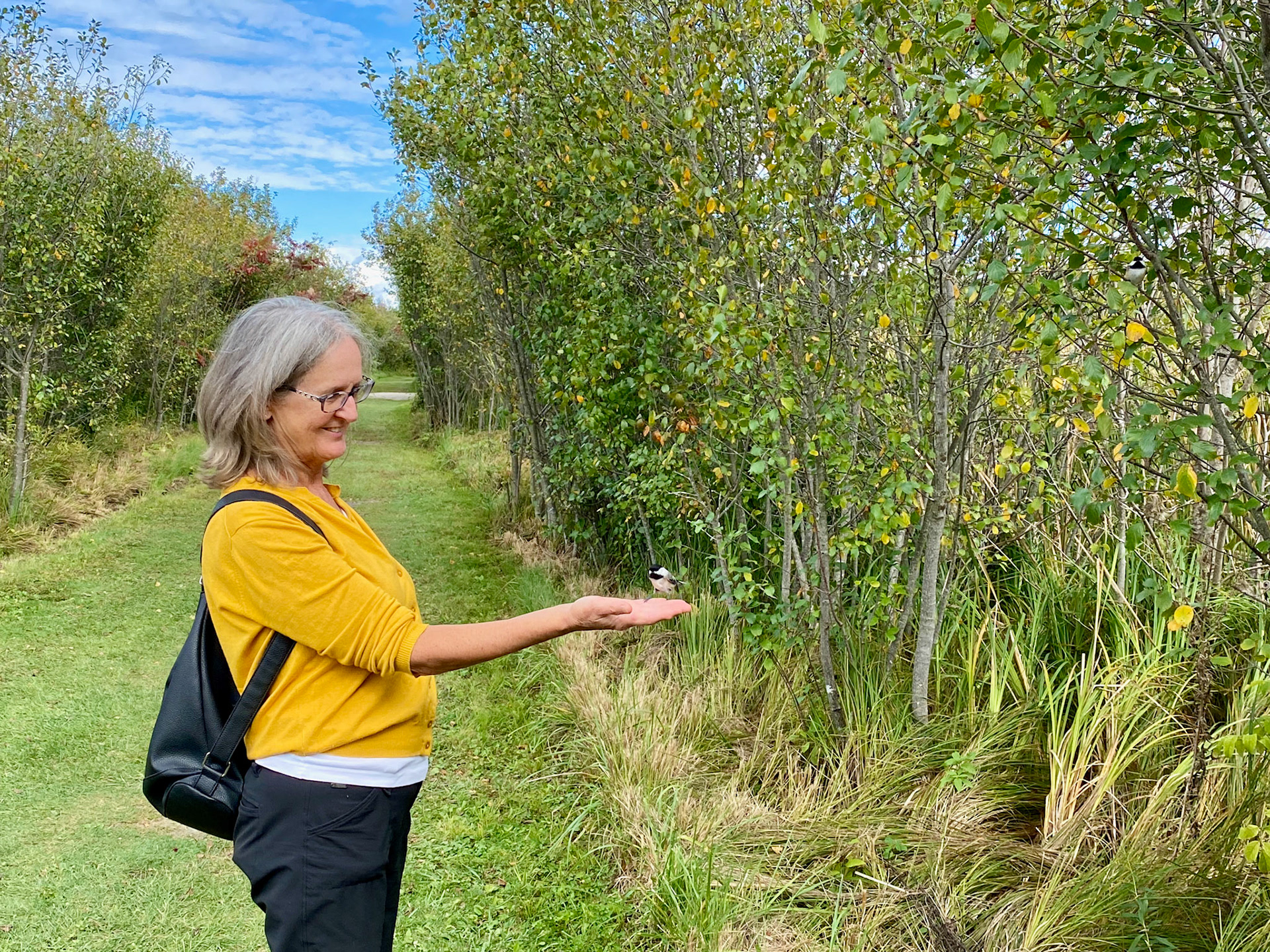 Visit to beautiful Wye Marsh