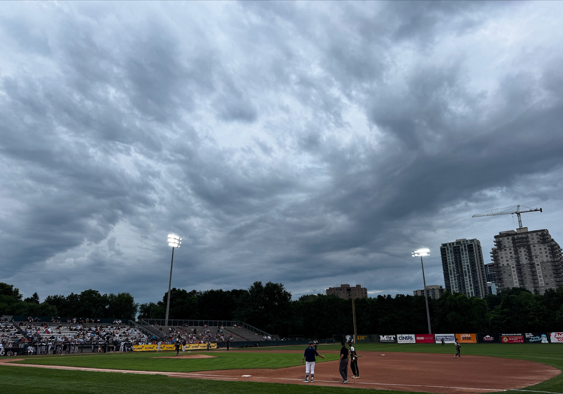 London Majors Pride baseball game