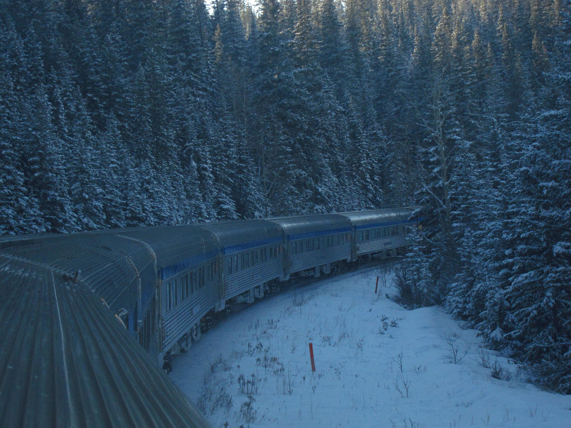 The Canadian plunges deep into the Alberta forests