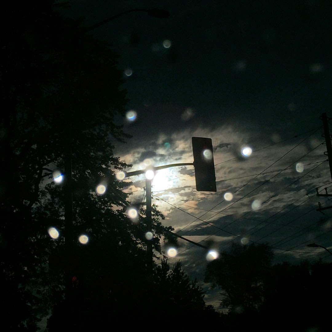The sun is brighter after the rain