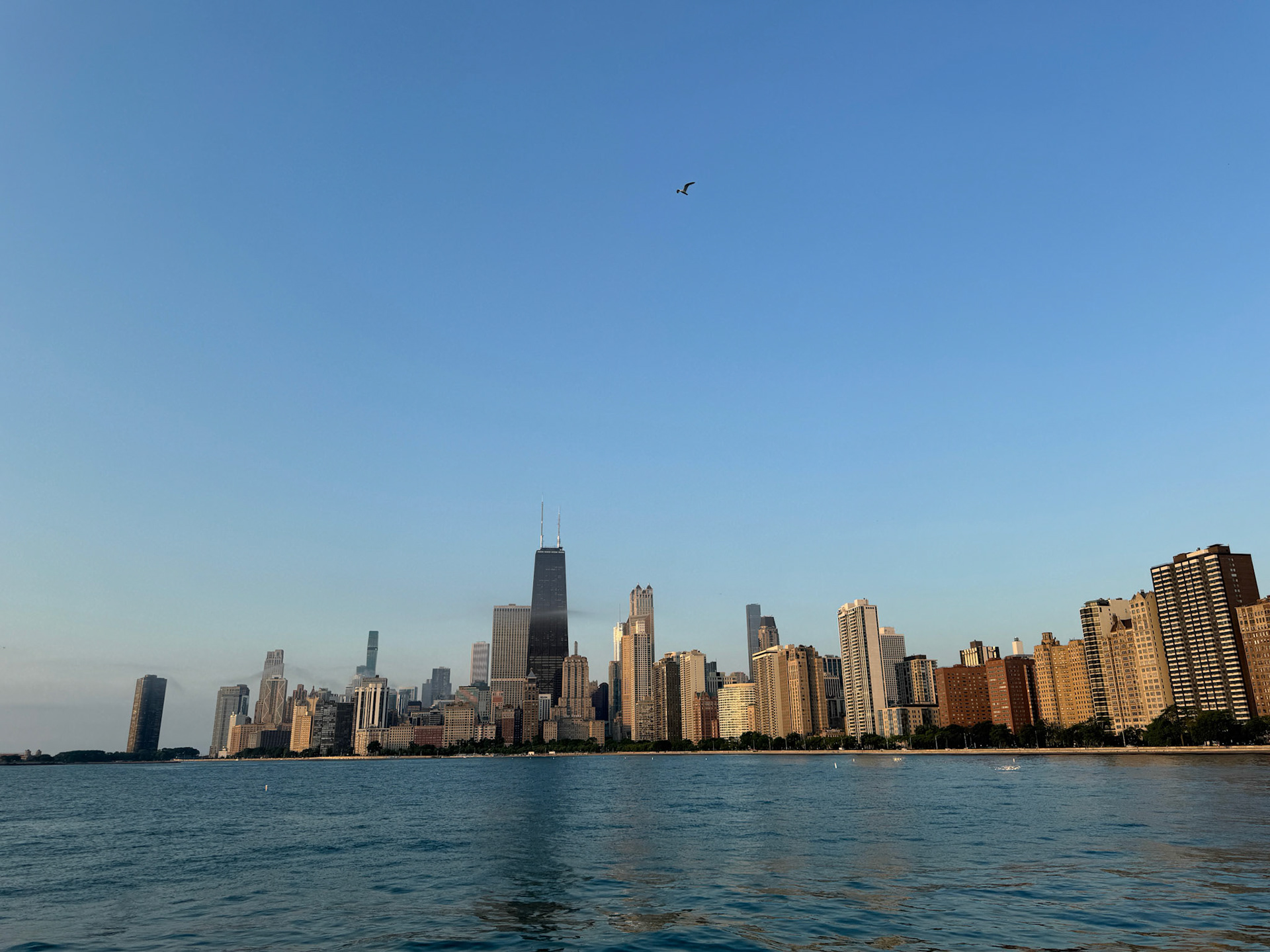 Chicago's beautiful skyline from North Avenue Beach