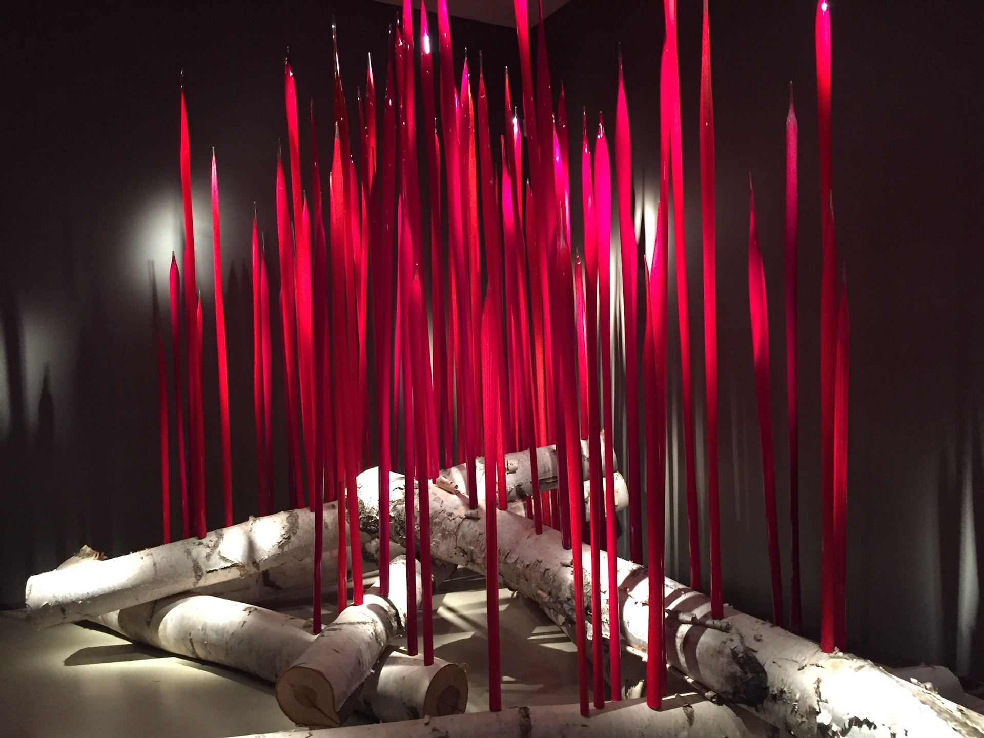 Dale Chihuly's exhibit at the ROM