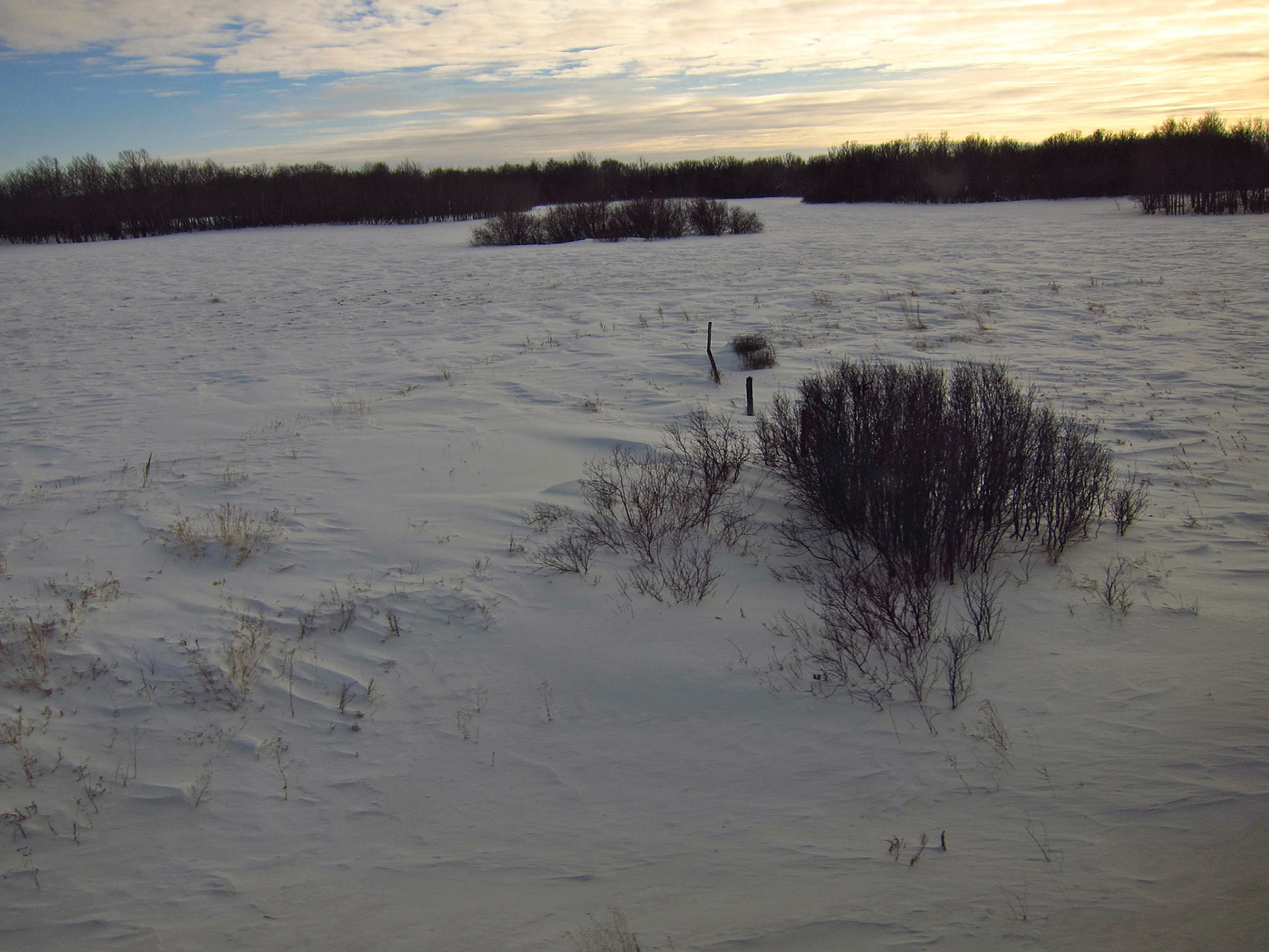 The sun starts to set in the Saskatchewan prairies