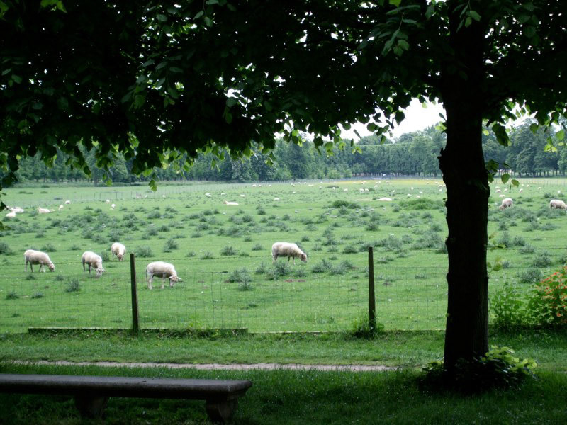 France Days 1 &amp; 2 - Versailles and Normandy