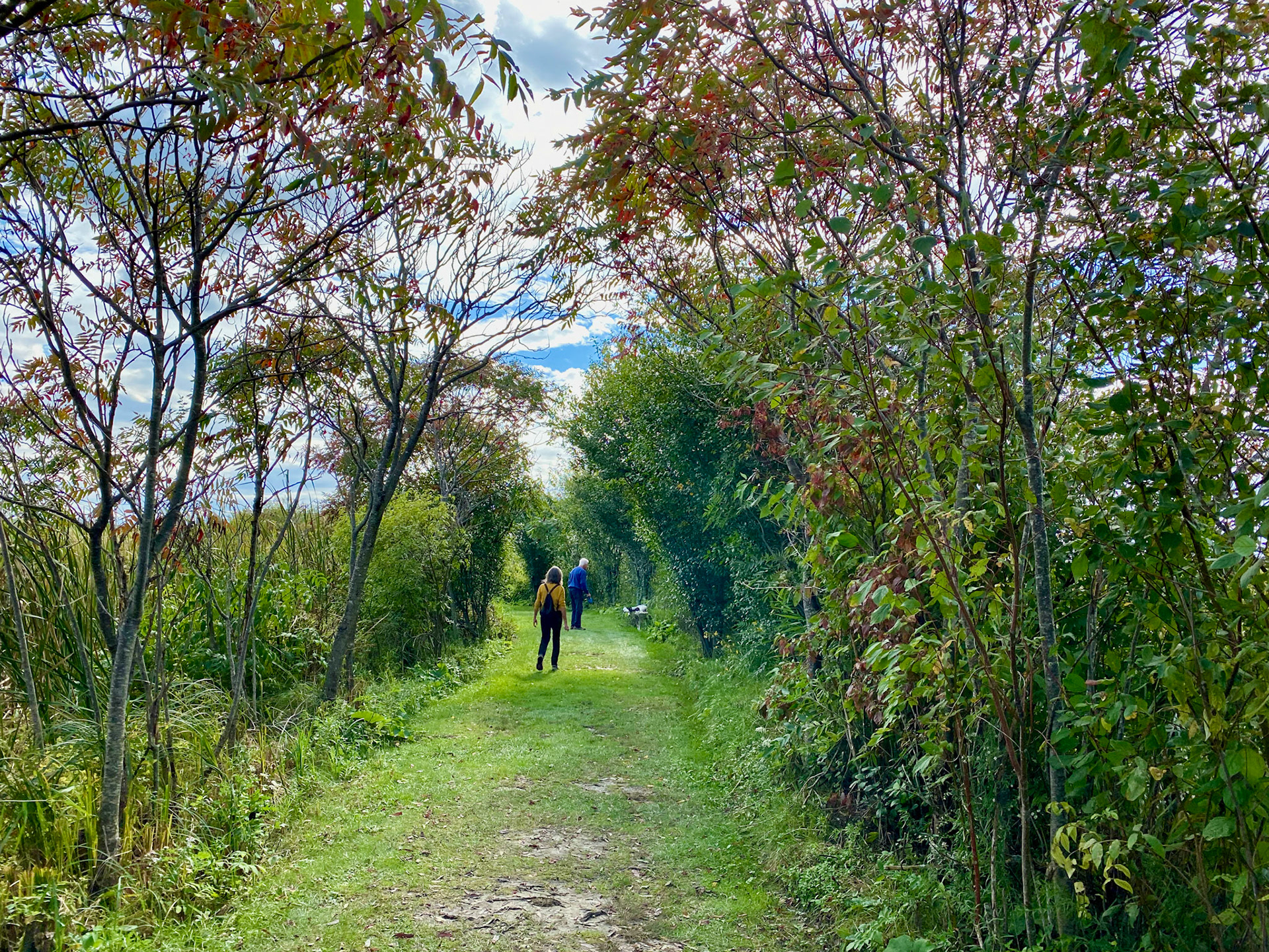 Visit to beautiful Wye Marsh