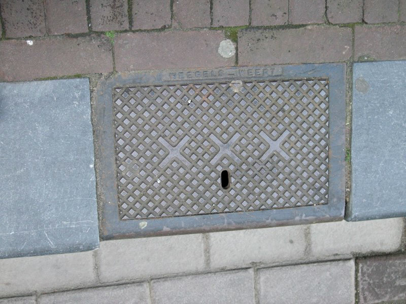 Netherlands, and return home to Canada