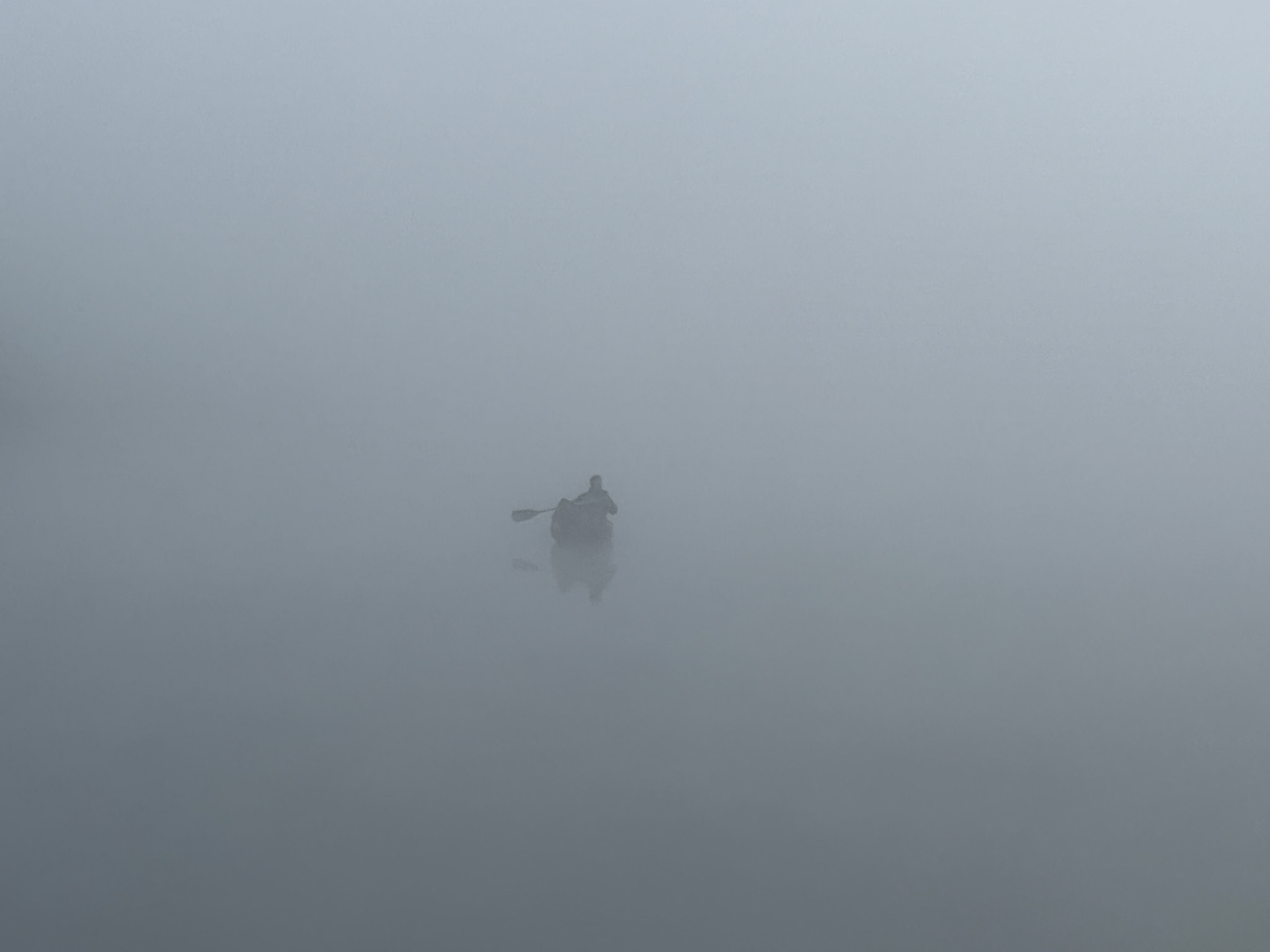 I ventured to Kearney Lake and saw a solo canoeist paddling to shore through the mist