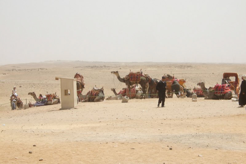 Oman and Egypt - the desert