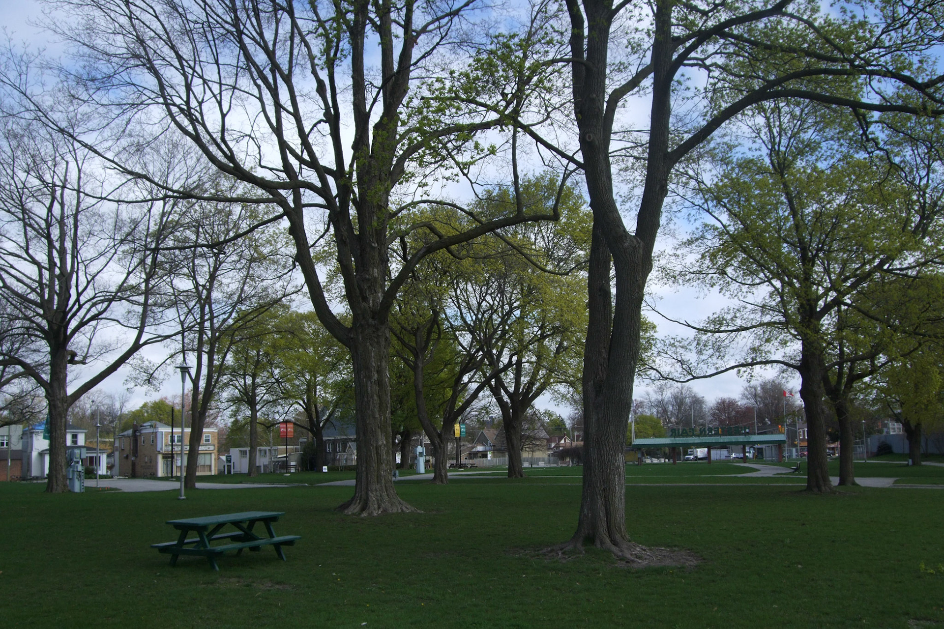 Queens Park/Western Fairgrounds - a really peaceful vantage of Old East