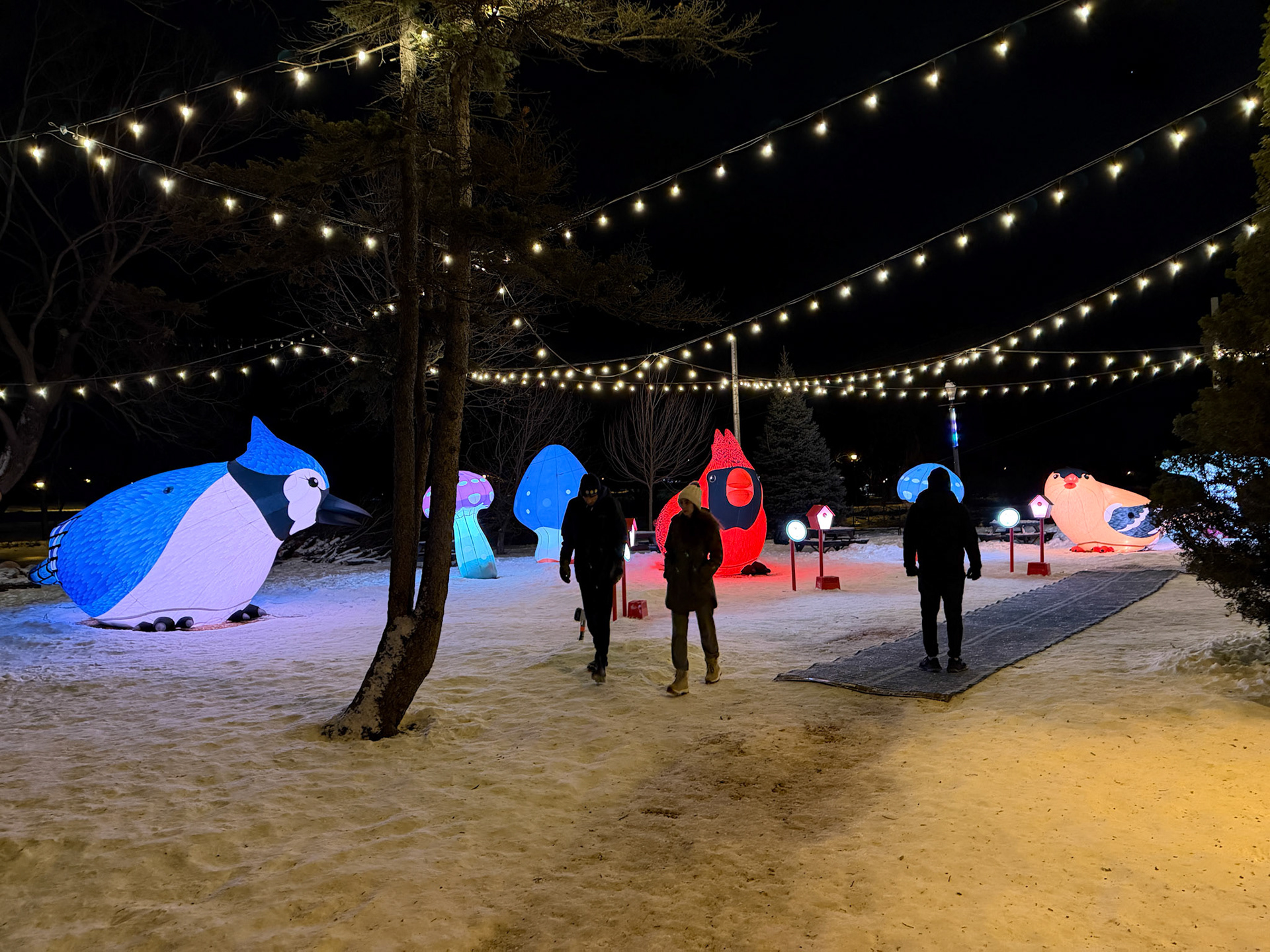 The Birds of a Feather installation at Tom Patterson Island