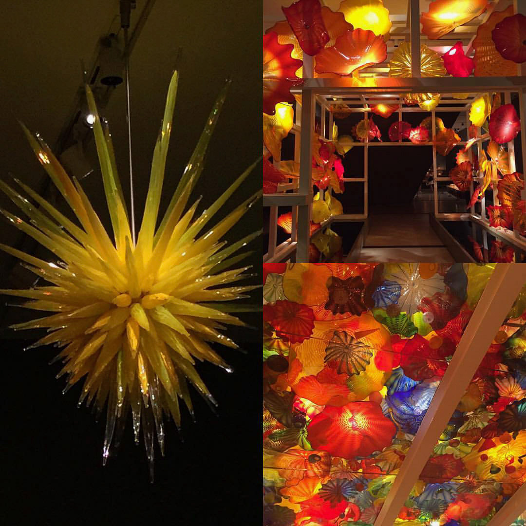 The #ChihulyTO exhibit at @romtoronto is a must see! More pics to come