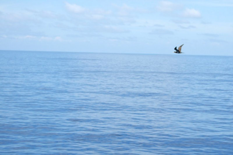 Life and Work at Sea