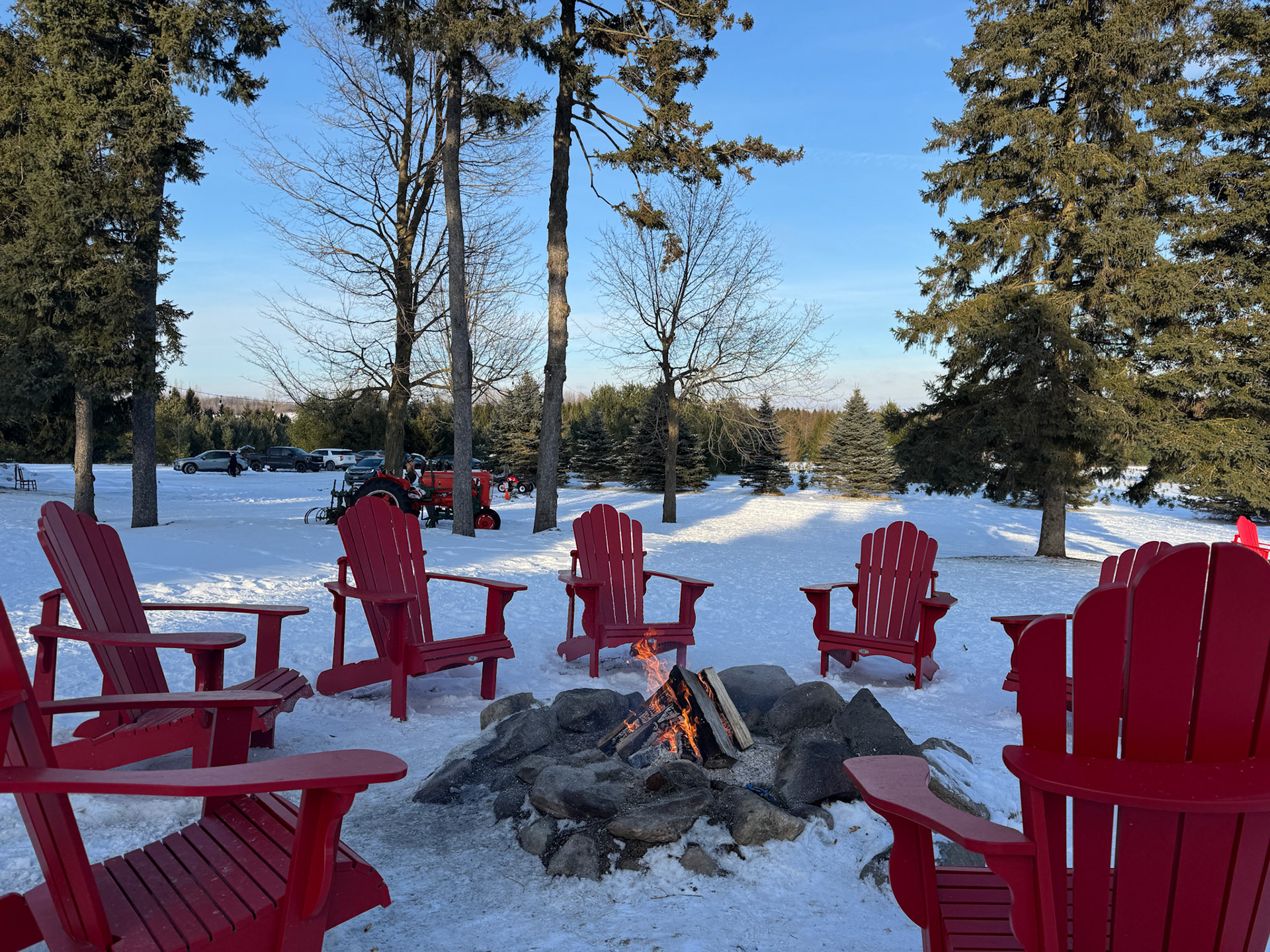 A cozy bonfire at Elliot Tree Farm