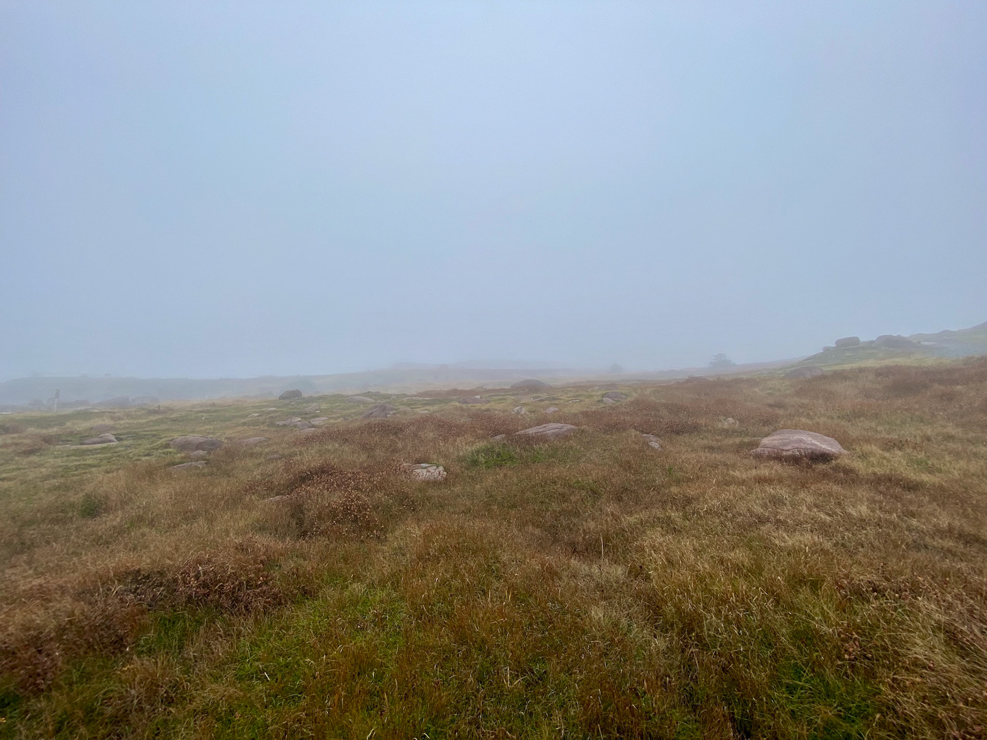 Cape Spear, the most easterly point in North America, was so captivating in the dense fog. The sound of power of the roaring Atlantic was pierced every minute by the spooky fog horn.