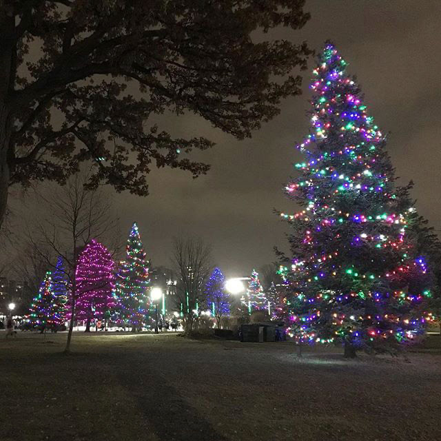 Merry Christmas to all - peace, rejuvenation and love to you this Christmas Eve!