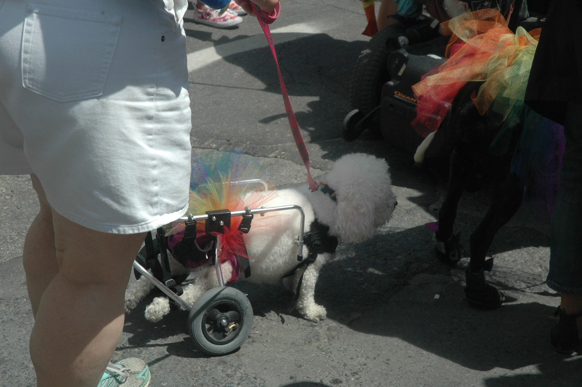 Pride Toronto 2016 - Dyke March