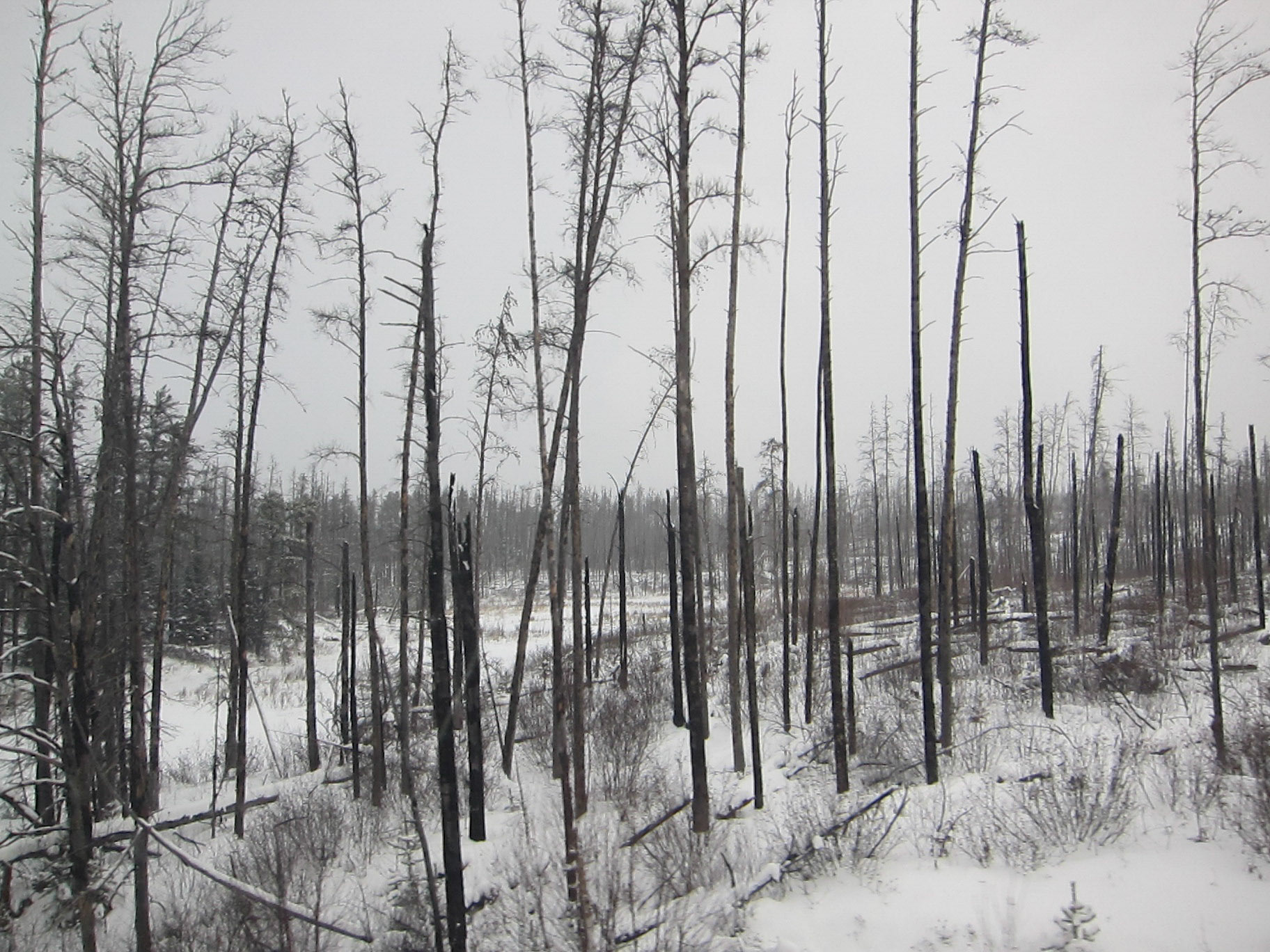 Winter in Northern Ontario
