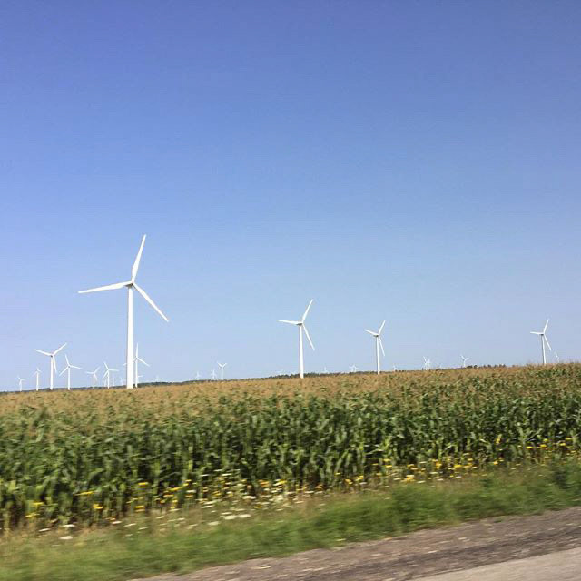 Sunday morning sunshine, blue skies dotted with wind turbines, fields of corn, and my family in the car. All is well...