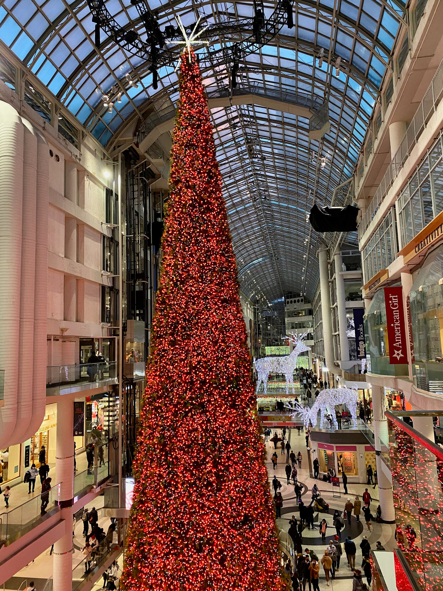 Toronto at Christmas December 2022