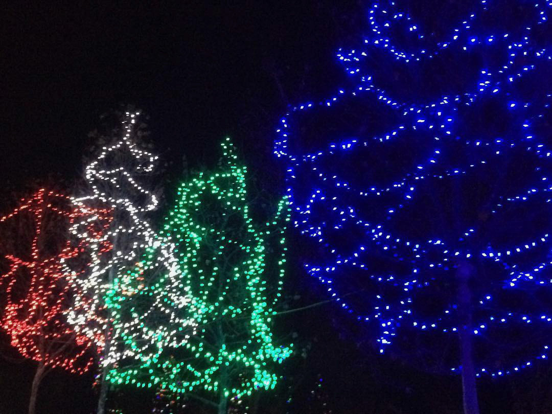 Twinkling Christmas lights in Victoria Park #ldnont #pretty