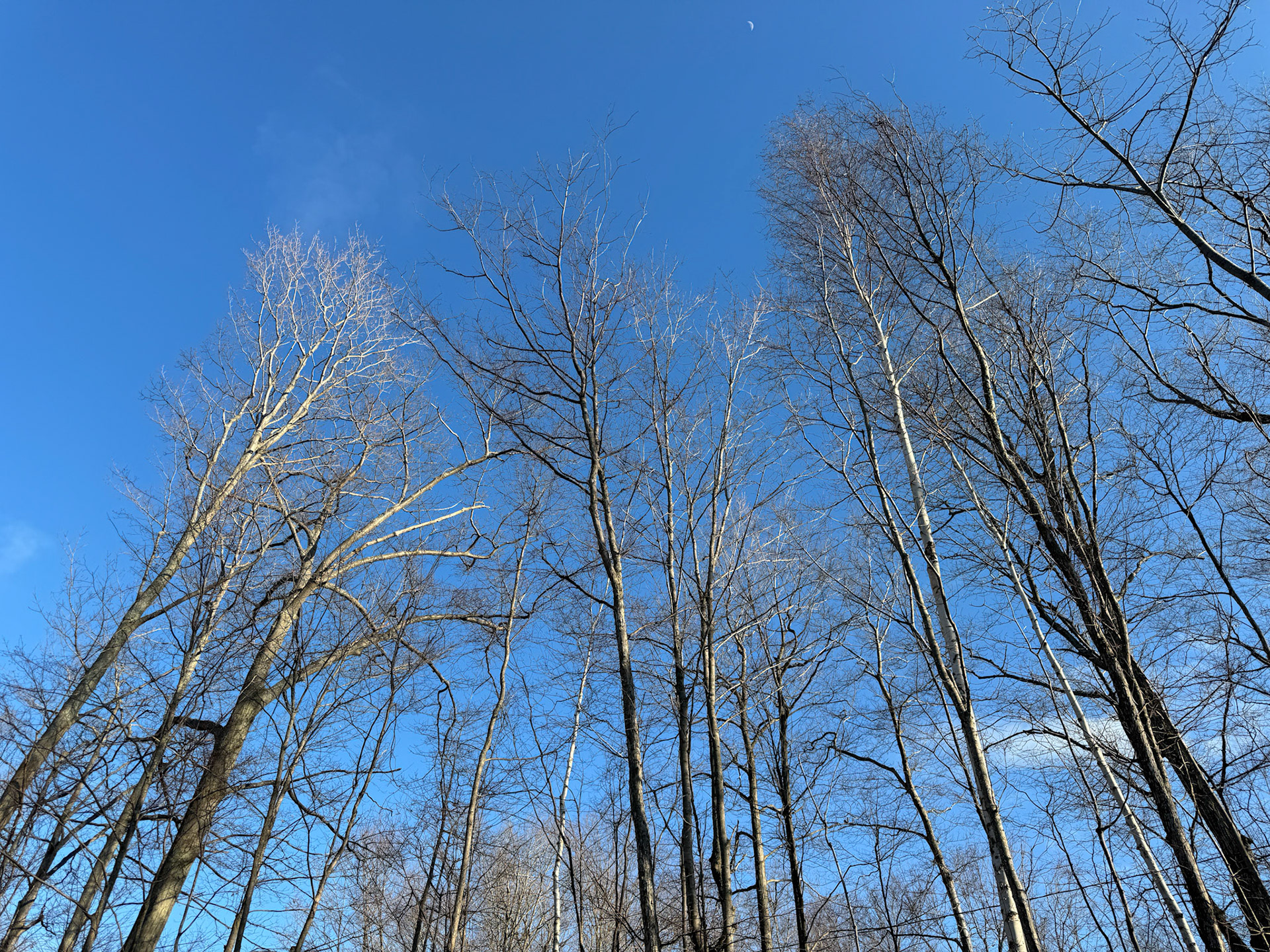 Visiting the cottage - March 15, 2024