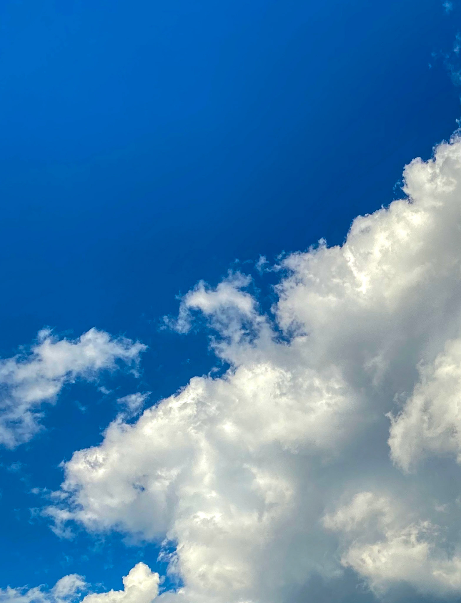 Socially distanced downtown London adventures