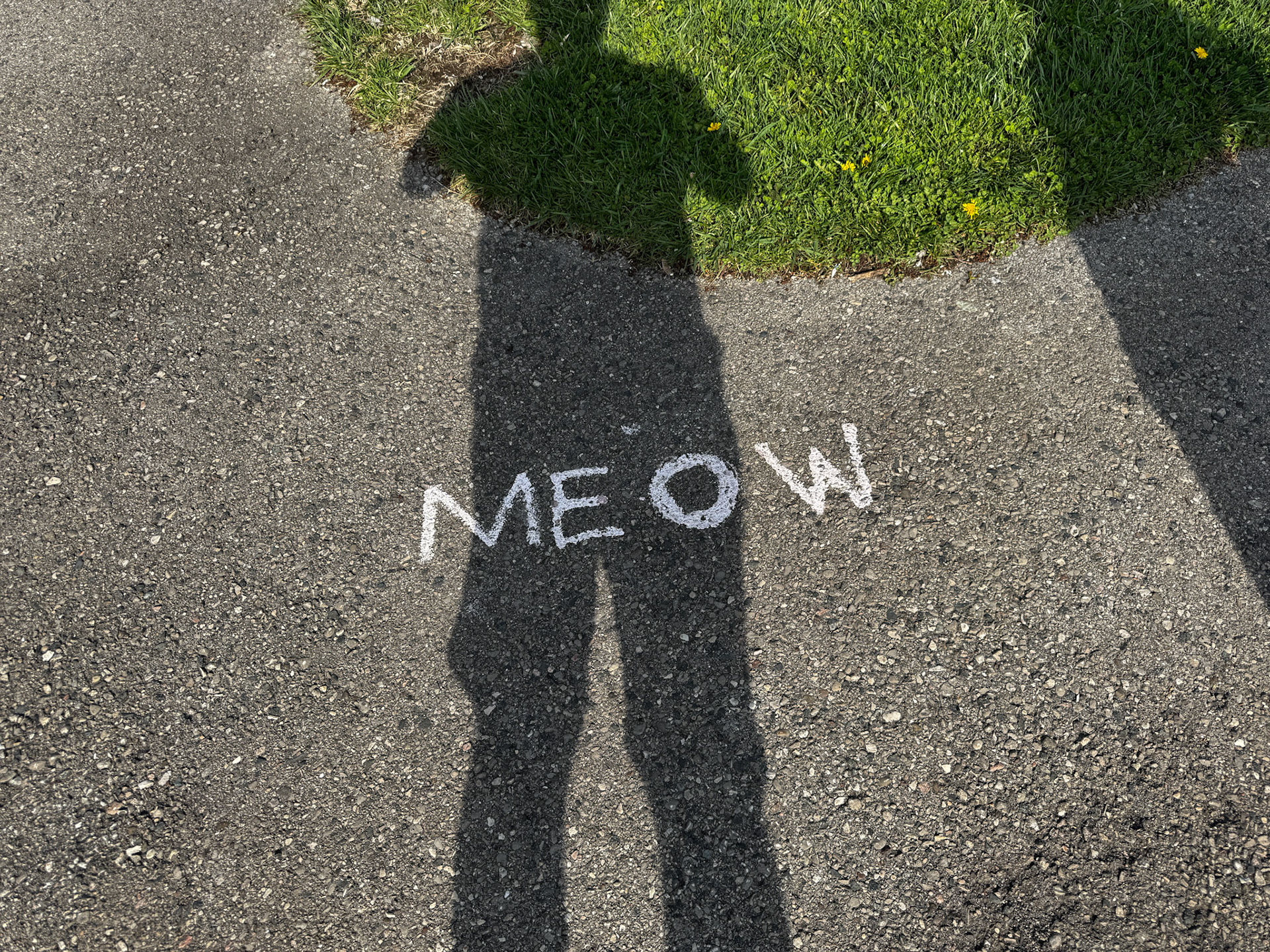 Words of affirmation spotted on spring walk with Emerson