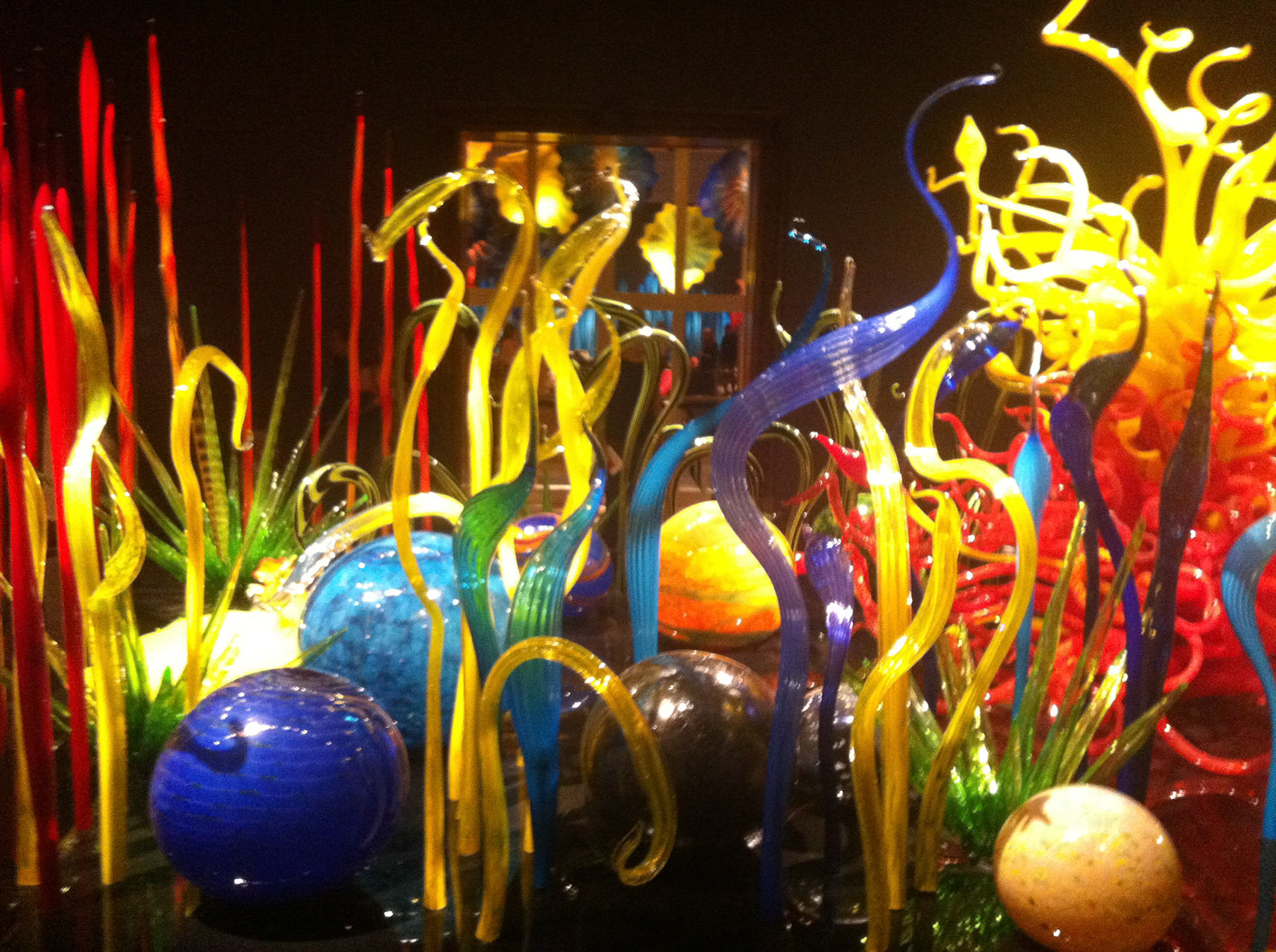Dale Chihuly's stunning glass art at Musée des Beaux Arts de Montréal