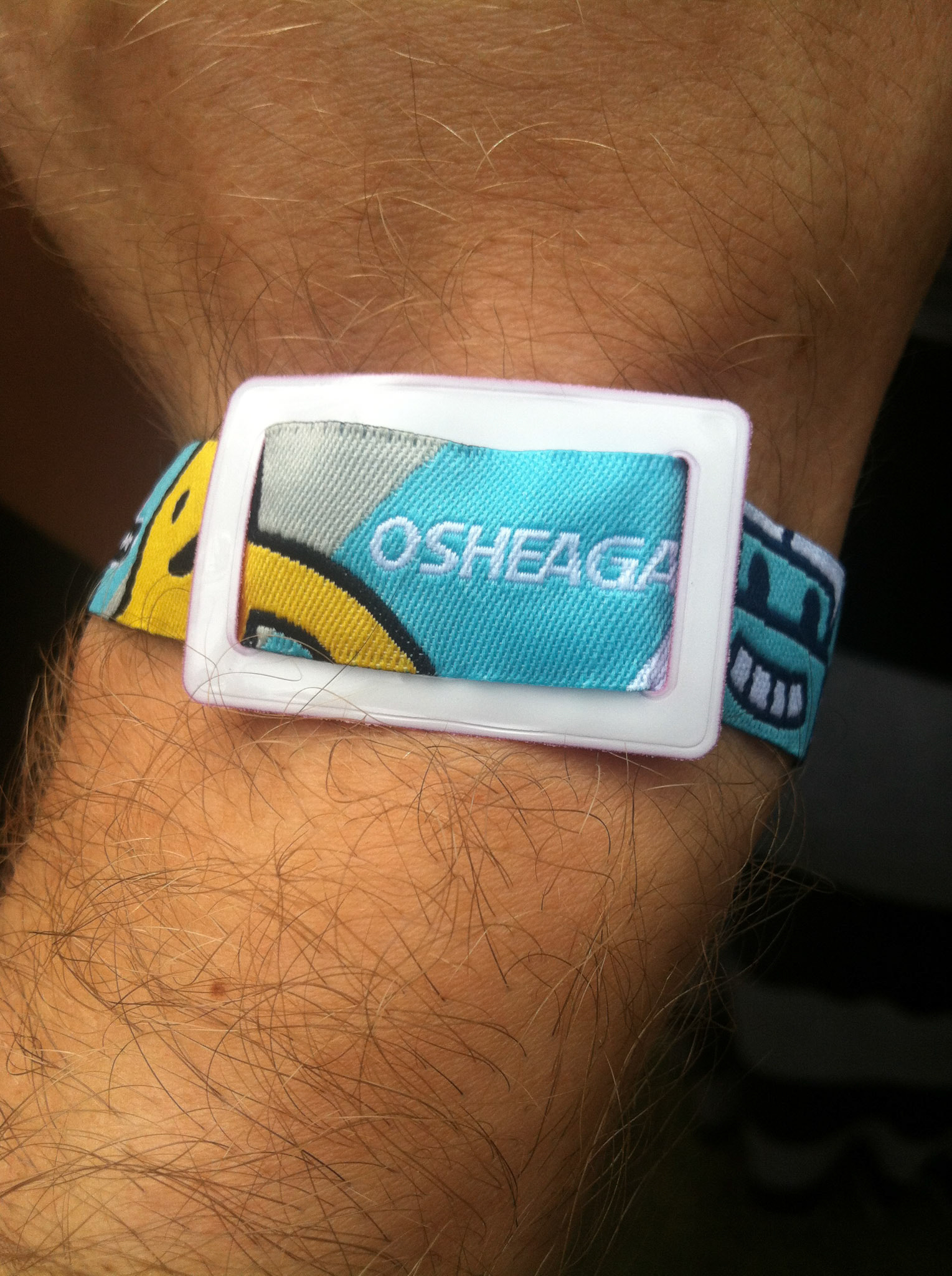 Got my Osheaga weekend pass, with the ultra-cute mascots Oshe and Aga!