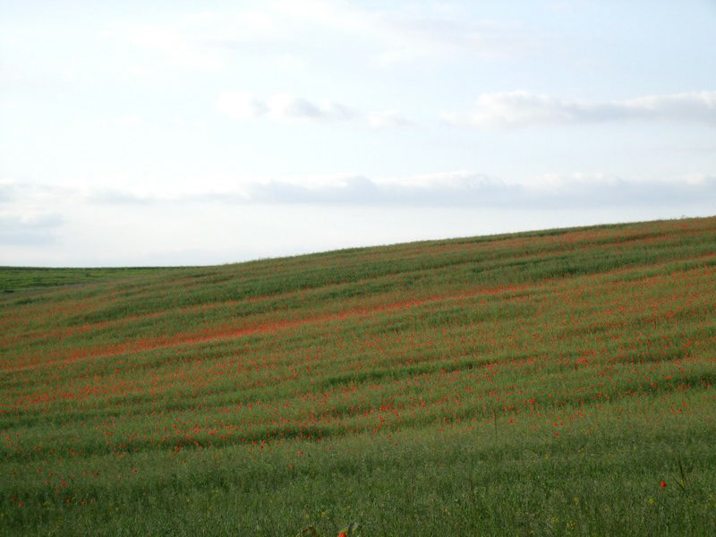 Poland - First Impressions &amp; Chojna