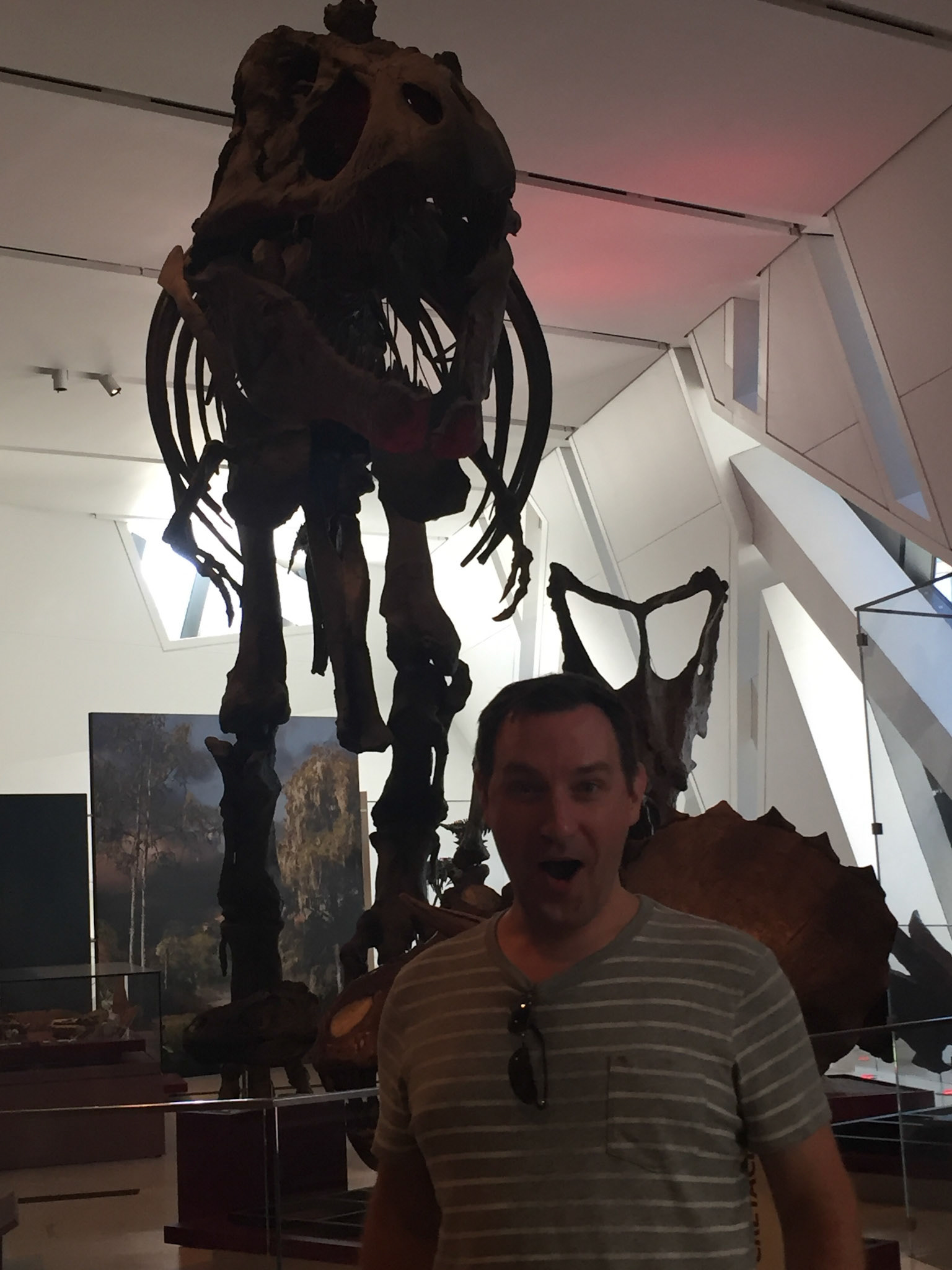 ROAR! The Rom's Trex