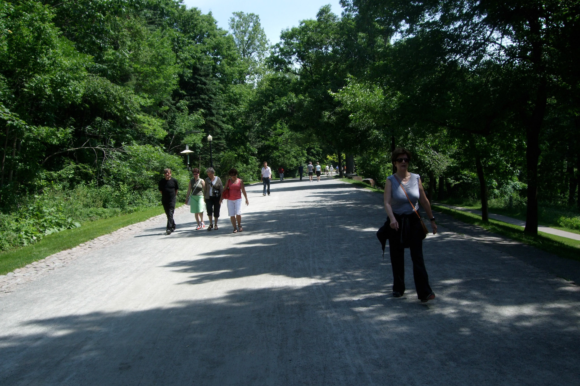 The peak of Mount Royal has beautiful parkland to walk around in