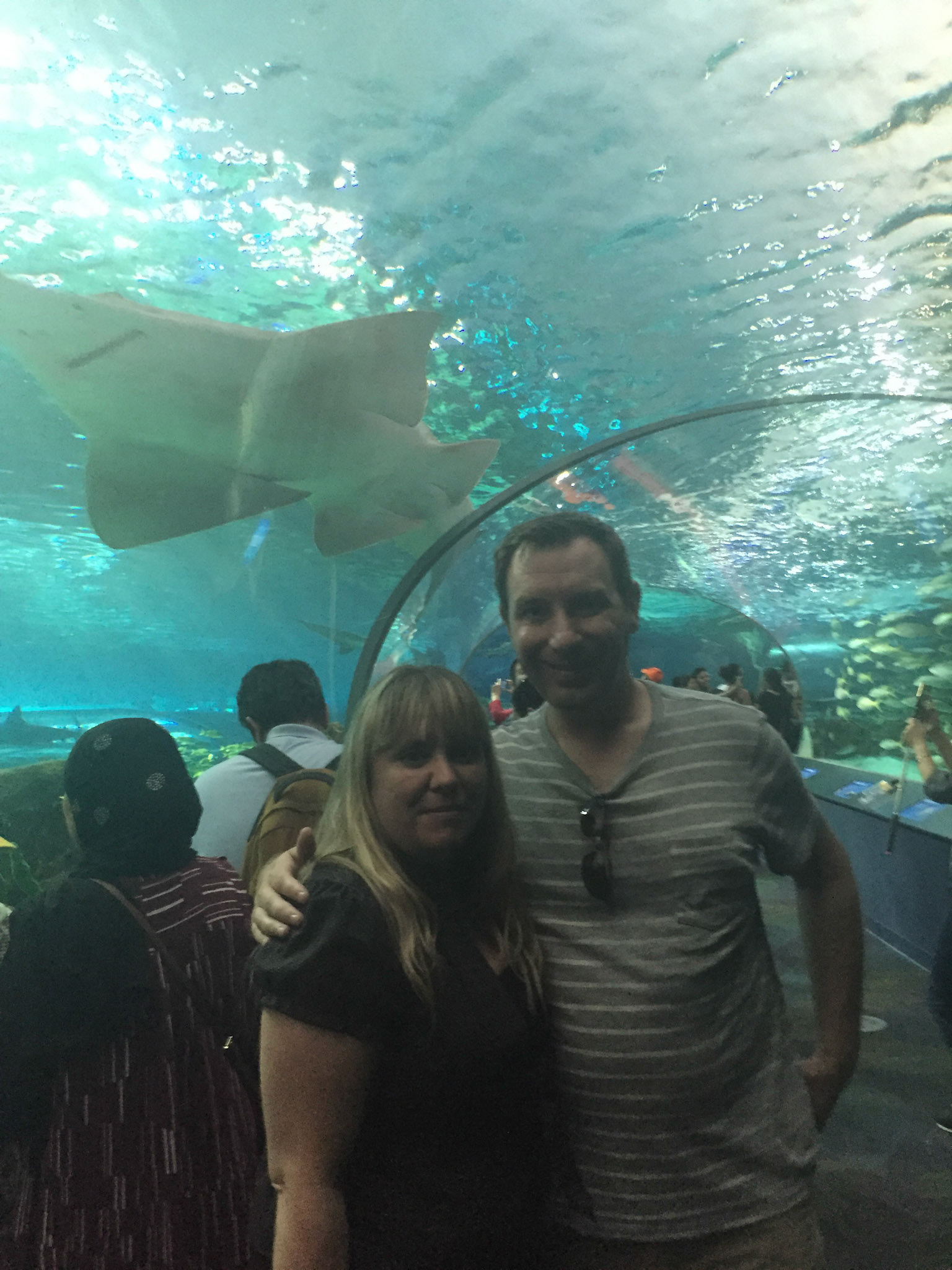 At Ripley's Aquarium of Canada