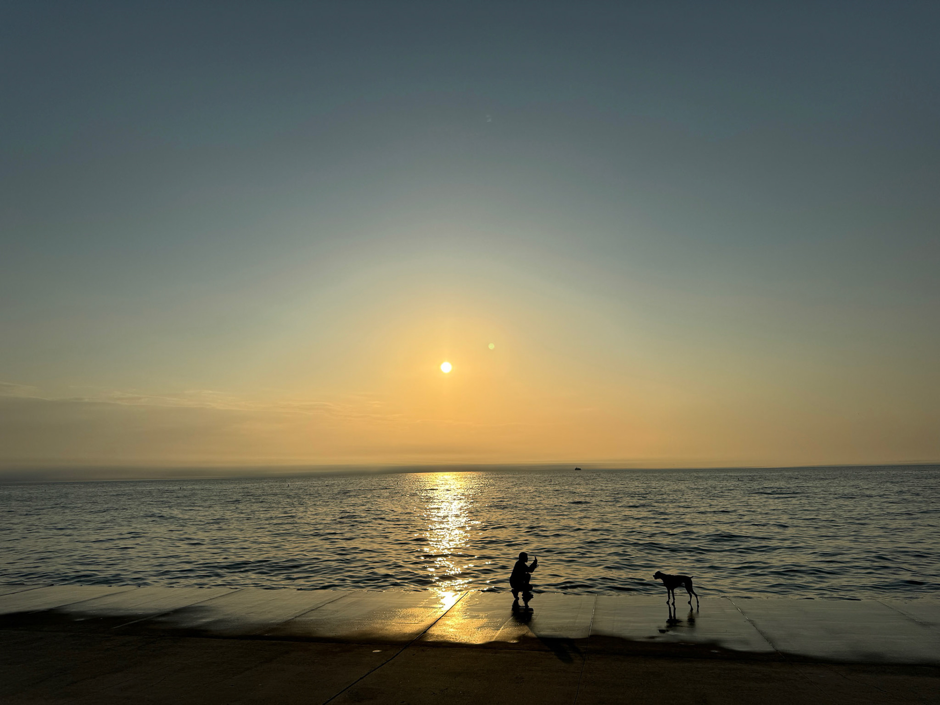 A human taking a loving portrait of his doggie at the lakefront